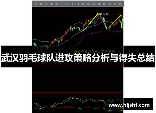 武汉羽毛球队进攻策略分析与得失总结